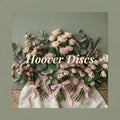 Hoover Disks